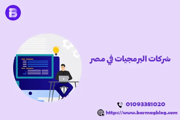 شركات البرمجيات في مصر